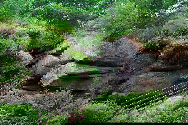 Rocks Woodland Walk Rocks