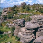 Warren Forest - Brimham Rocks