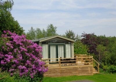 Spring Season at Warren Forest Park Nidderdale