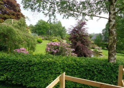 Spring Season at Warren Forest Park Nidderdale