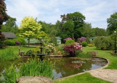 Spring Season at Warren Forest Park Nidderdale