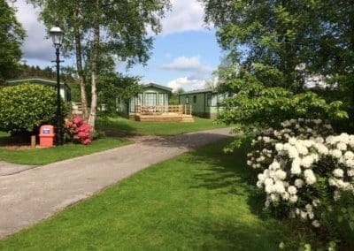 Spring Season at Warren Forest Park Nidderdale