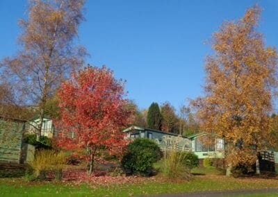 Autumn at Warren Forest