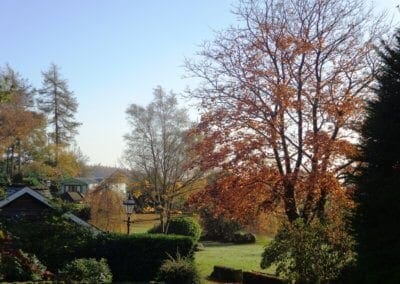 Autumn at Warren Forest