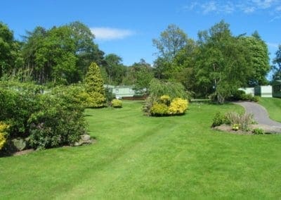 Outdoor Green Plains