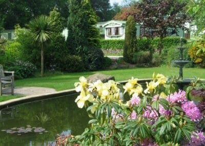 yellow and purple flowers