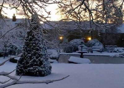 Our Stag in the Snow