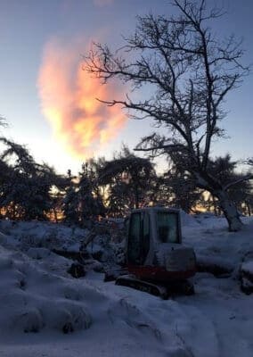 Warren Forest's Winter Weather