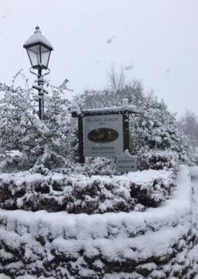 Reception 8th March 18 Warren Forest Park