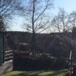 Rays of Sun on the Summer House