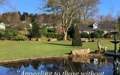 Escape from the Pressure of Modern Life