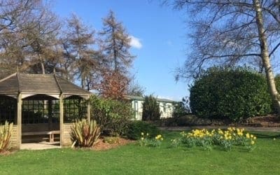 Thank you for your Feedback