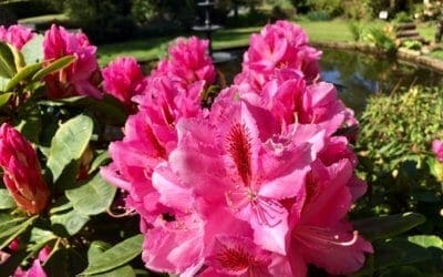 Spring Bank Holiday-How Will You Spend Yours?