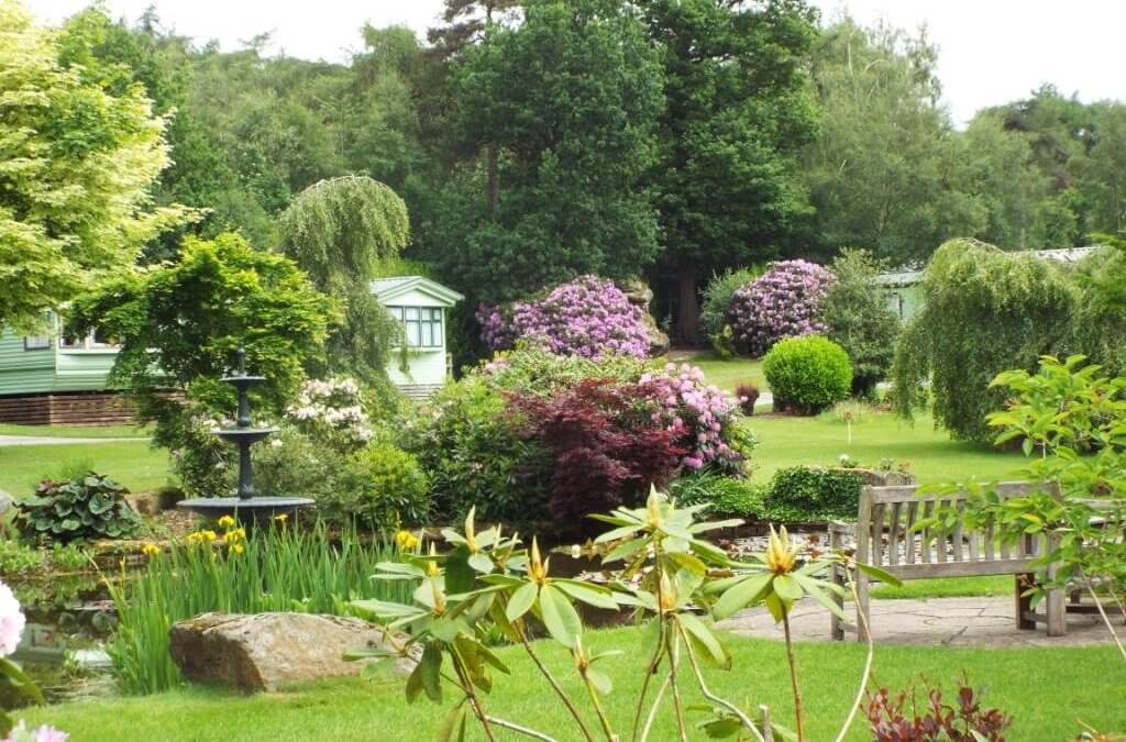 June-What’s On This Weekend?