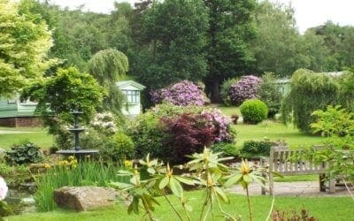 June-What’s On This Weekend?