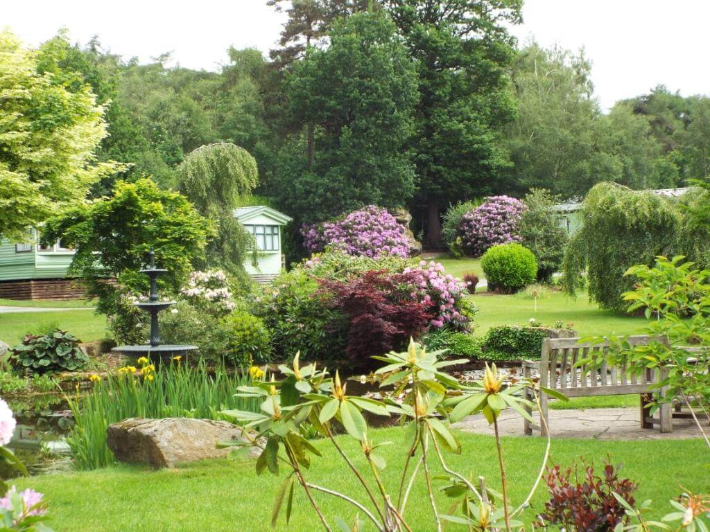 June-What’s On This Weekend?