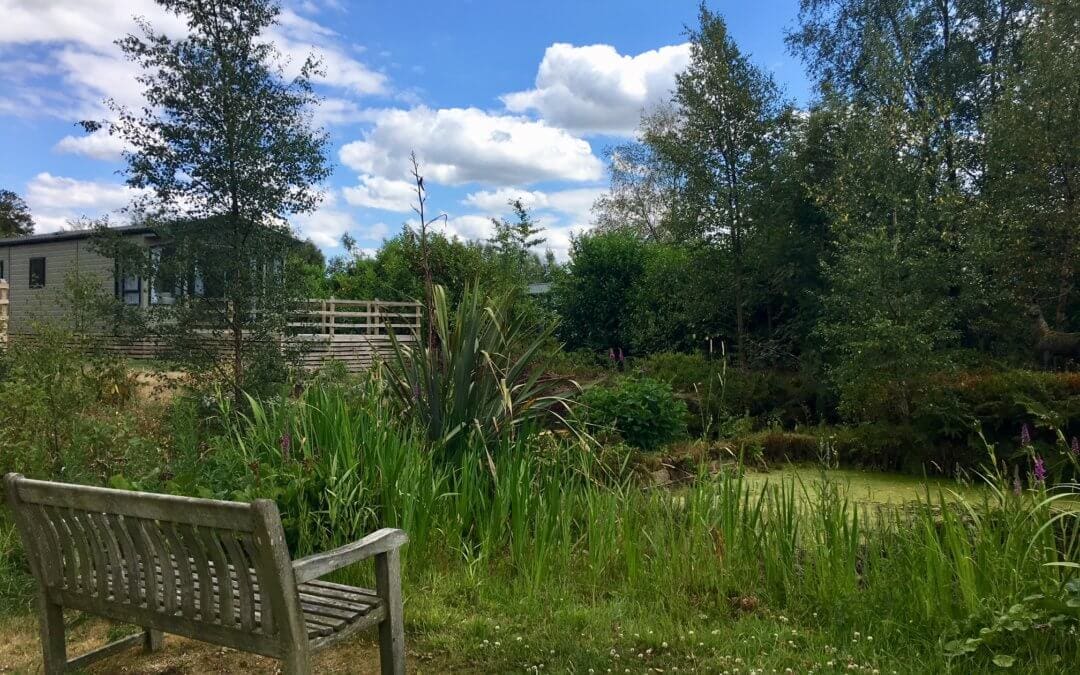 14 The Rowans pond 3