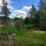 14 The Rowans pond 3