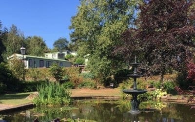 Recognition All Around