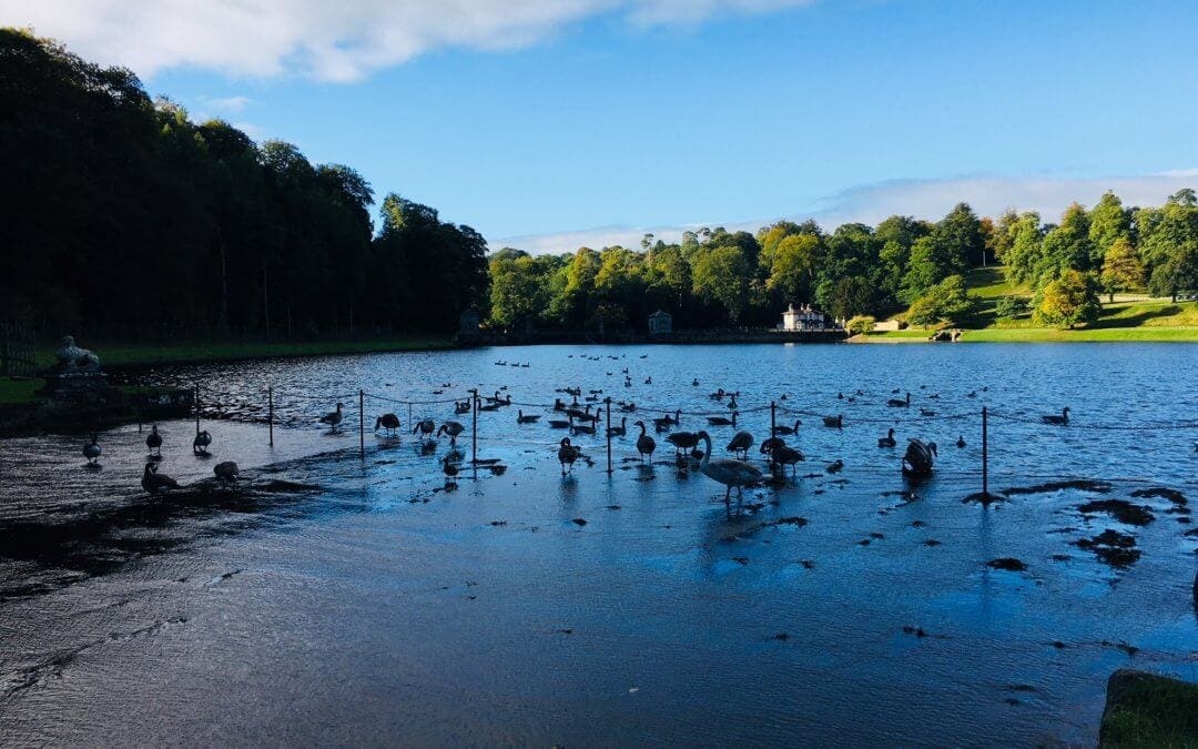 September Sunshine at Studley