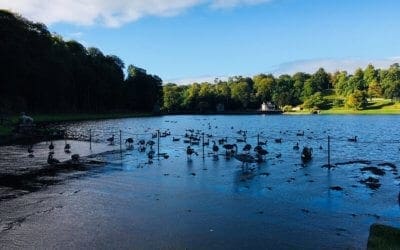 September Sunshine at Studley