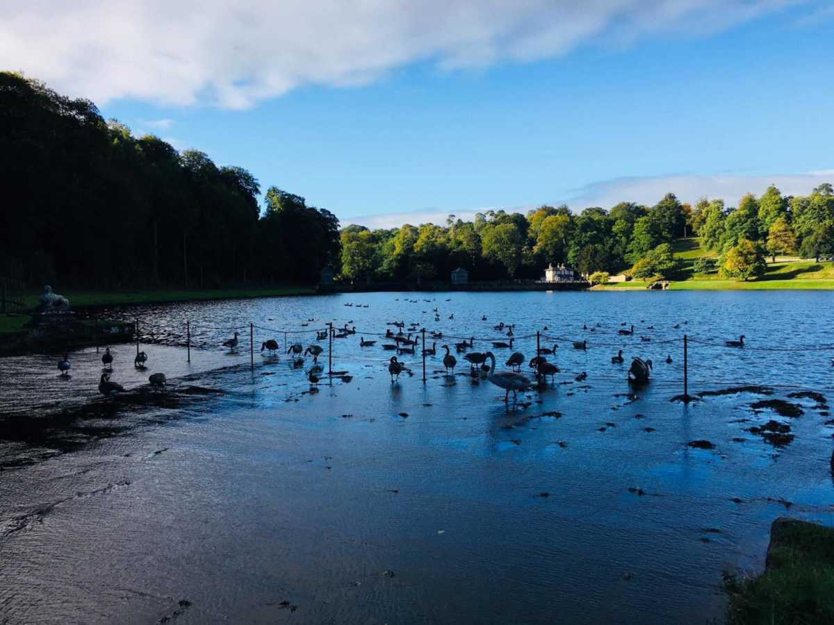 September Sunshine at Studley
