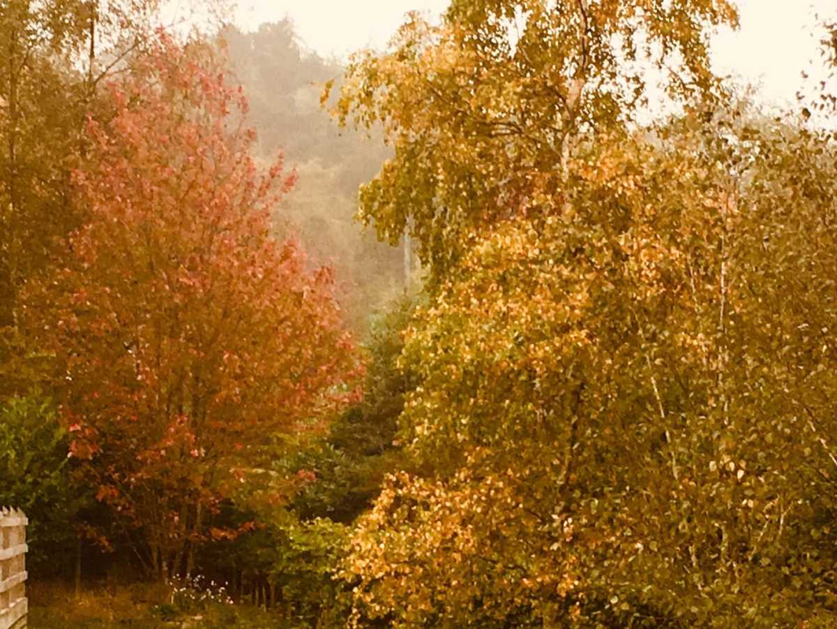 Autumn Glow 2018