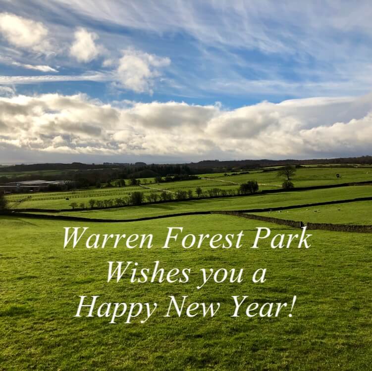 Happy New Year 2019