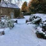 A Snowy Pathway