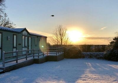 Photo bombed by a bird!