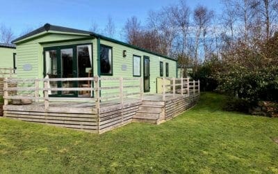 5 The Rowans-ABI St David