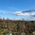 Blue Skies & Views of Warren Forest