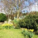 Warren Forest Park Spring