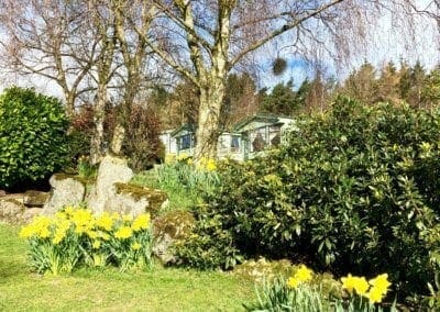 Warren Forest Park Spring