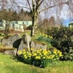 spring at Warren Forest Park