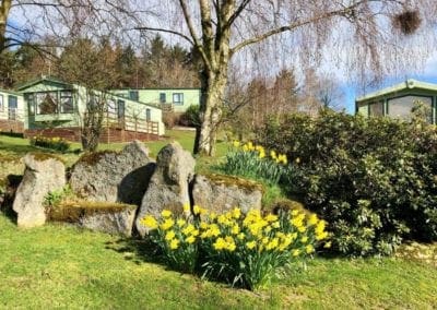 spring at Warren Forest Park