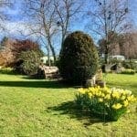 Warren Forest Park Spring