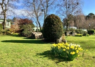 Warren Forest Park Spring