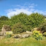 spring at Warren Forest Park