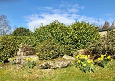spring at Warren Forest Park
