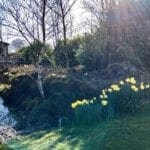 Warren Forest Park Spring