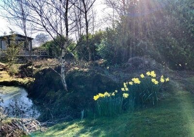 Warren Forest Park Spring