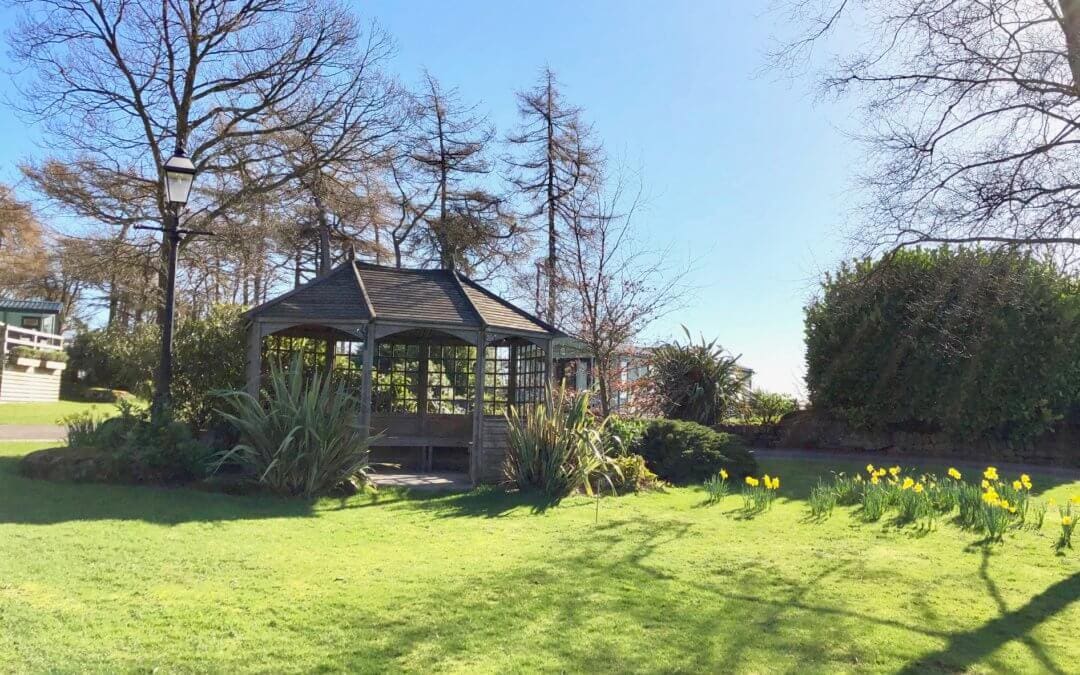 Rays of Sun on the Summer House