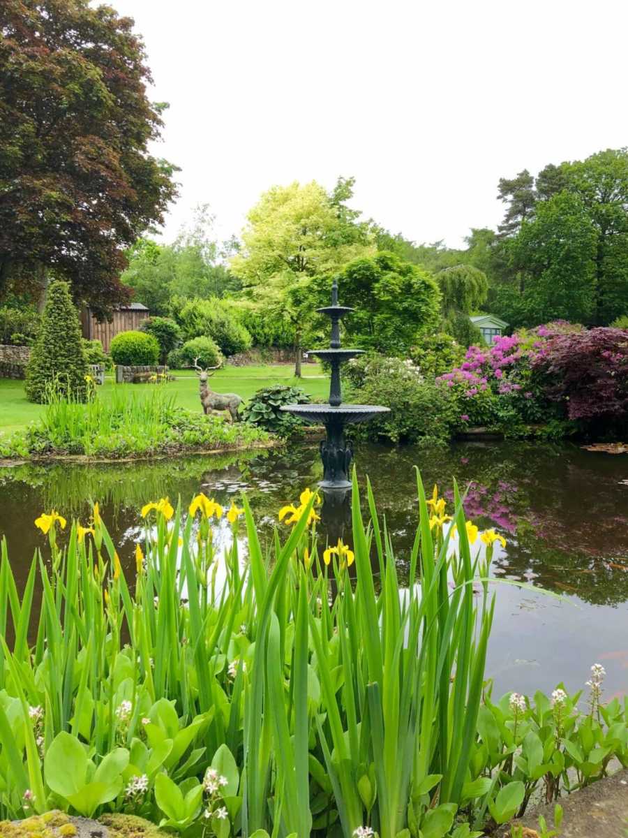 Busy Bees and Birdsong