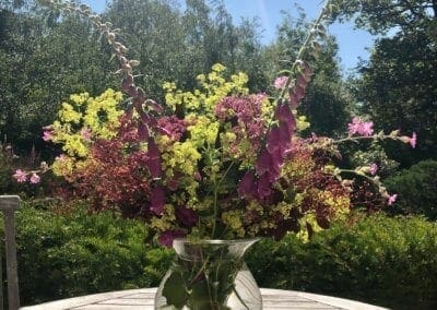 Wild Flowers at Warren Forest Park