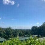 Scenic Green Views Across the Rooftops