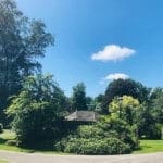 View-From-Jeffrey-Wood