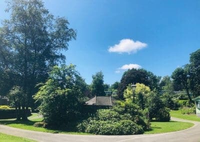 View-From-Jeffrey-Wood