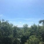 Views across the treetops at Warren Forest Park