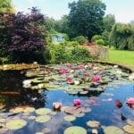 Peace and Tranquility at Warren Forest Park